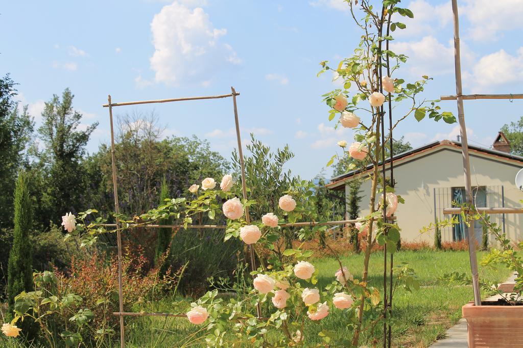Agriturismo Dimore Di Poggianto Pergine Valdarno ภายนอก รูปภาพ